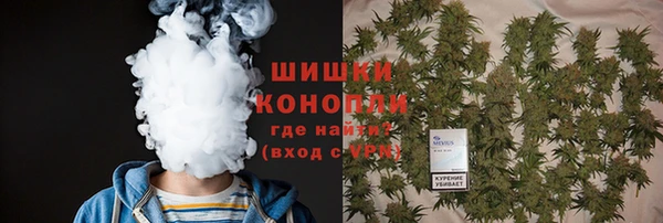 spice Алзамай